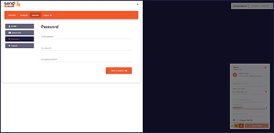 Pagina password
