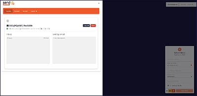 Pagina dettagli trasferimento
